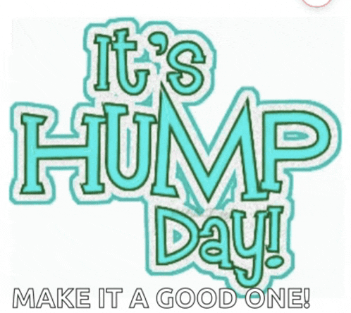 Hump Day Gif Funny Meme