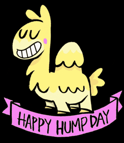 Hump Day Memes Flirty GIF