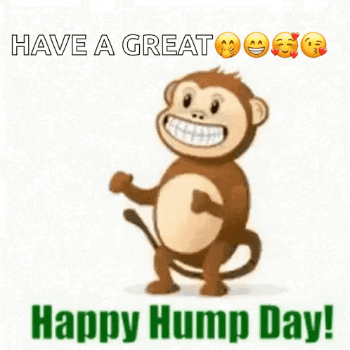 Hump Day GIF