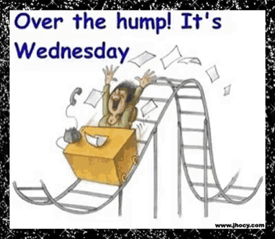 Hump Day Wednesday GIF