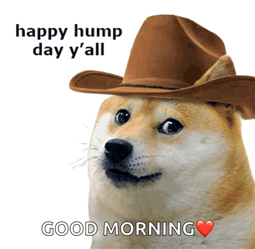Hump Hump Day GIF