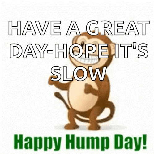 Humpday Monkey GIF