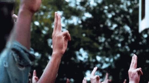 Hunger Games GIF. This 498 x 278 animated GIF is part of our hunger games salute collection. View the original animation, share it, or browse related GIFs.