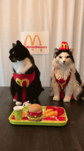 Hungry Mc Donalds GIF