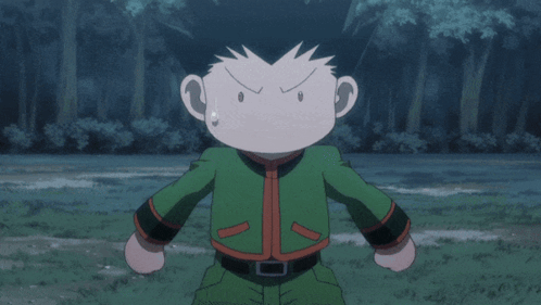 Hunter X Hunter Hxh GIF