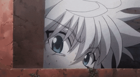 Hunter X Hunter Hxh GIF