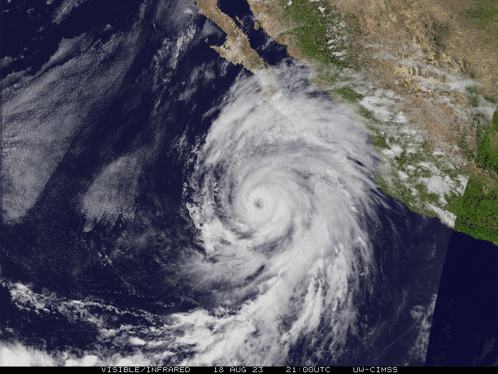Hurricane Hillary GIF