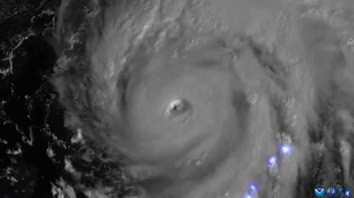 Hurricane Ian Hurricane GIF