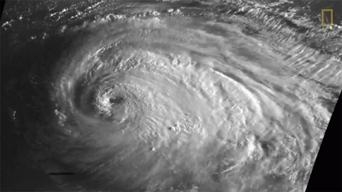 Hurricane Luis World Meteorological Day GIF
