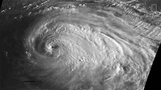 Hurricane Luis World Meteorological Day GIF
