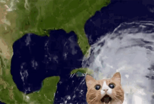 Hurricane Party Hurricane Florence GIF