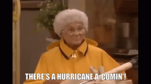 Hurricane Rainy GIF