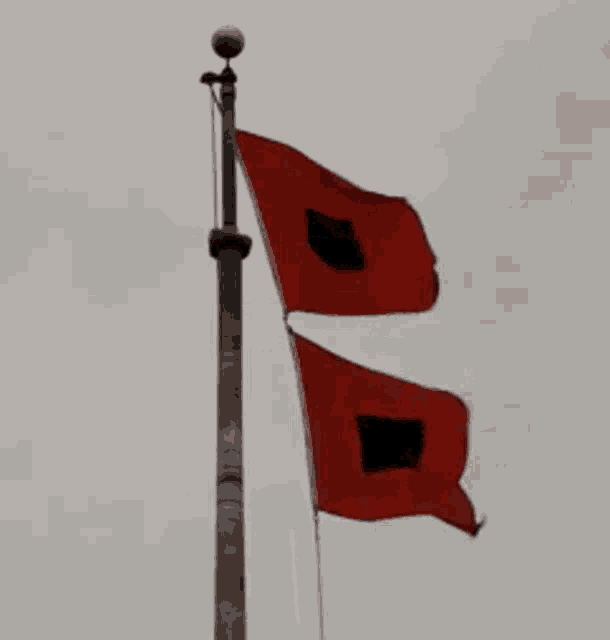 Hurricane Warning GIF