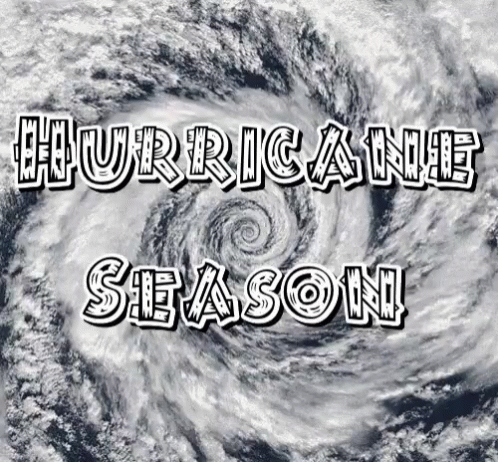 Hurricane Winds Hurricane Florence GIF