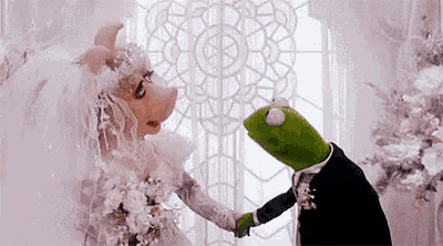Husband And Wife GIF