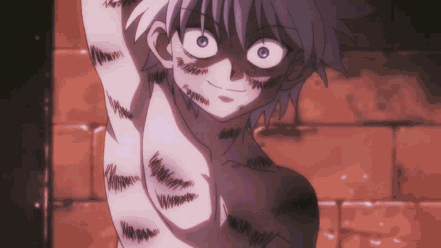 Hx H Hunter X Hunter GIF