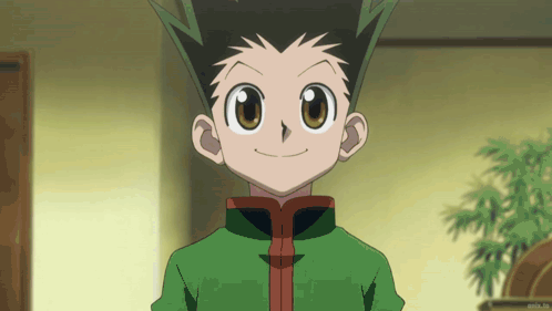 Hxh Hunter X Hunter GIF