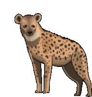 Hyena Spotted Hyena Sticker