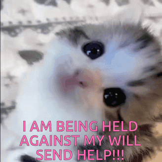 I Am Being Held Against My Will Kiwi Discord GIF