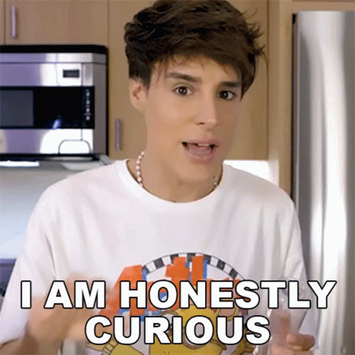 I Am Honestly Curious Raphael Gomes GIF