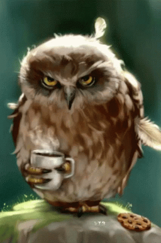 I Am Not Happy You Are Not Helping GIF