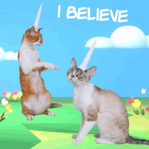 I Believe Cat Unicorn Devon Rex Cute Dancing Flowers Clouds GIF. This 480 x 480 animated GIF is part of our lady and the tramp siamese cats collection…