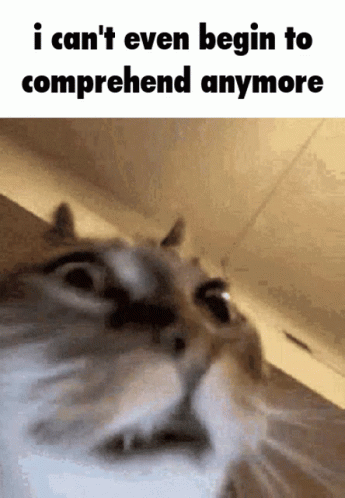 I Cant Take It Anymore Im Going Insane GIF