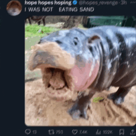 I Did Not Eat Sand GIF