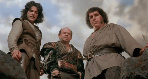 I Do Not Think It Means What You Think It Means Princess Bride GIF. This 498 x 267 animated GIF is part of our i do not think that word means what you think…