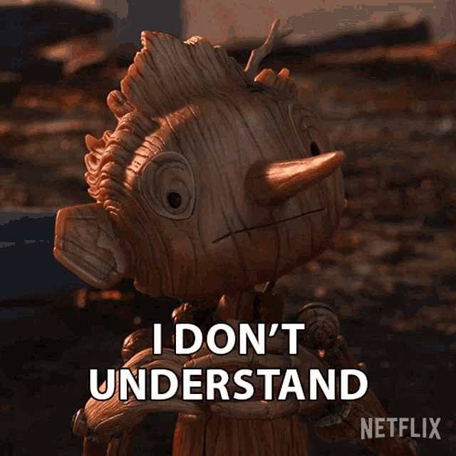 I Dont Understand Pinocchio GIF