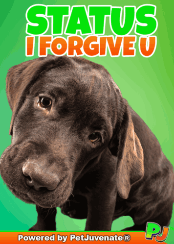 I Forgive Ststus GIF