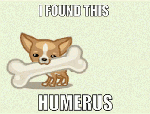 I Found This Humerus Humorous GIF
