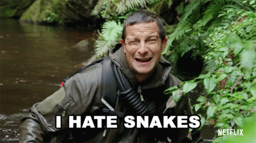 I Hate Snakes Animals On The Loose GIF. This 498 x 280 animated GIF is part of our im a snake collection. Related themes include scared, snake. Created by…