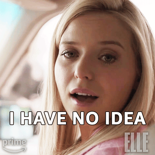 I Have No Idea Elle Woods GIF