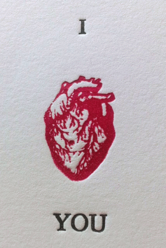 I Heart You I Love You GIF
