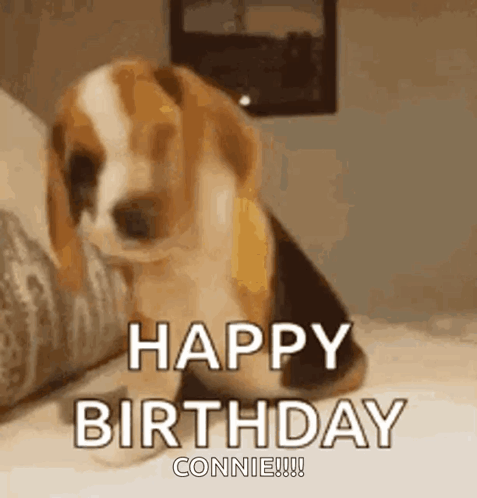 I Hope You Have Agreatdayloveyou GIF. This 477 x 498 animated GIF is part of our happy birthday dancing collection. Created by FUNstickers1. View the…