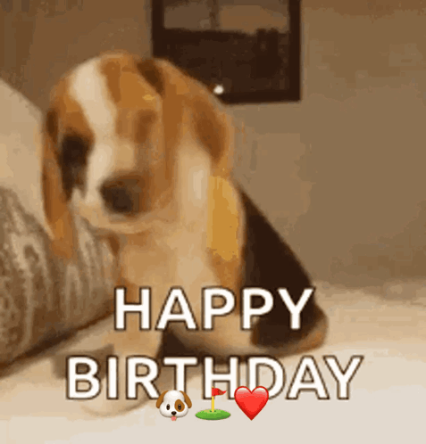 I Hope You Have Agreatdayloveyou GIF. This 477 x 498 animated GIF is part of our happy birthday puppy collection. Created by Golfur. View the original…
