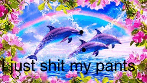 I Judy Sgit My Pants Meme