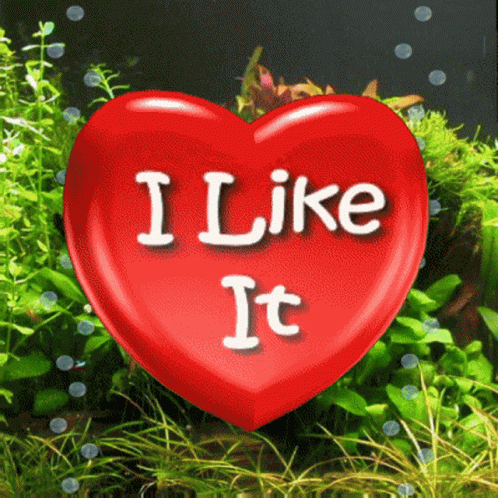 I Like It Like GIF