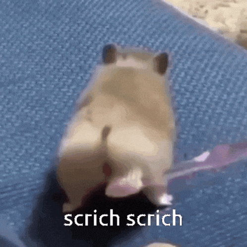 I Like This GIF