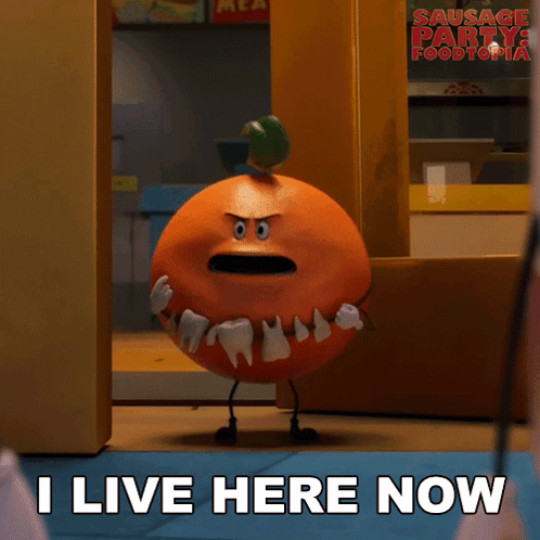 I Live Here Now Orange GIF
