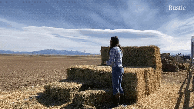 I Live On A Sheep Farm Caroline Nelson GIF