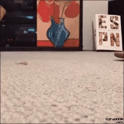 I Love Shoes GIF