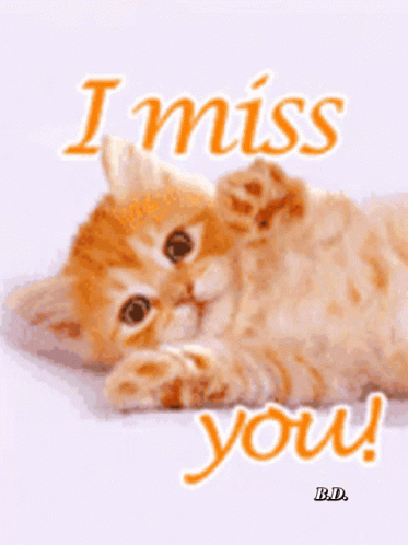 I Love U GIF. This 373 x 498 animated GIF is part of our miss you collection. Created by PaulaDavis52. View the original animation, share it, or browse…