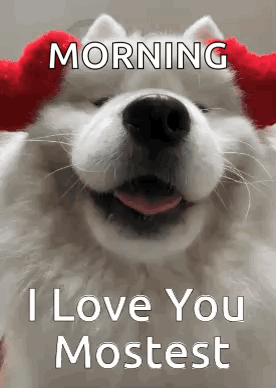 I Love You Dog GIF