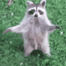 I Love You GIF