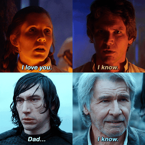 I Love You I Know Star Wars Ben Solo GIF. This 498 x 498 animated GIF is part of our han solo i know collection. Related themes include i love you. Created…