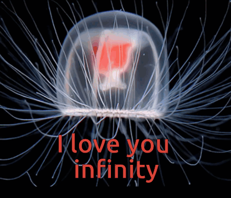 I Love You I Love You Infinity GIF