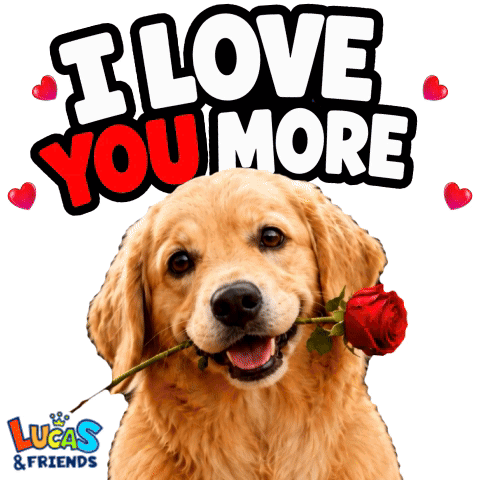 I Love You I Love You More GIF