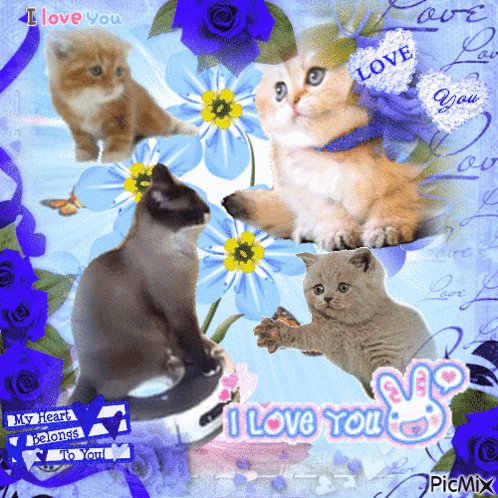 I Love You Picmix Ily GIF